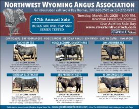 47th Annual Sale March 25,2025