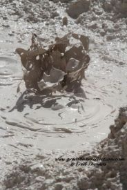mud