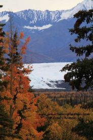 Mat. Glacier