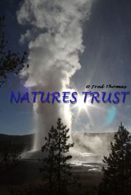 Geyser