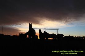Sunrise Gathering 