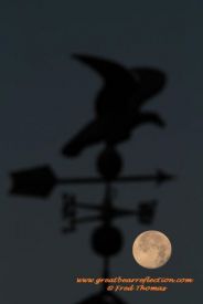 Wearther Vein, Super Moon