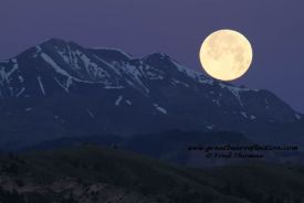 Absaroka Moon