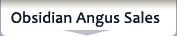 Obsidian Angus Cattle for Sale